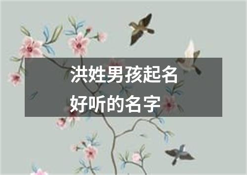 洪姓男孩起名好听的名字