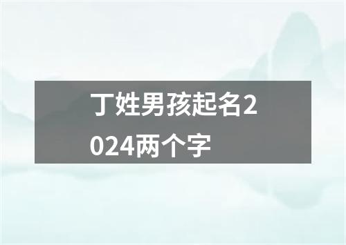 丁姓男孩起名2024两个字