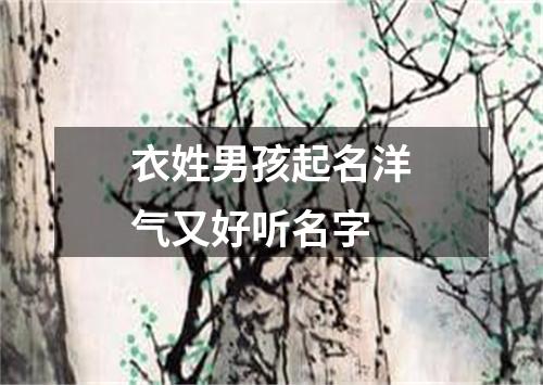 衣姓男孩起名洋气又好听名字