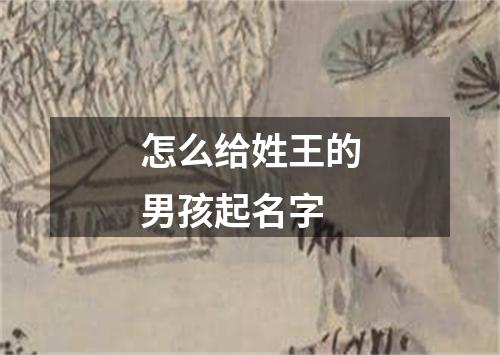 怎么给姓王的男孩起名字