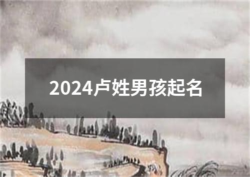 2024卢姓男孩起名