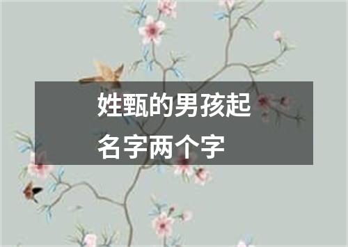 姓甄的男孩起名字两个字