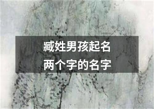 臧姓男孩起名两个字的名字