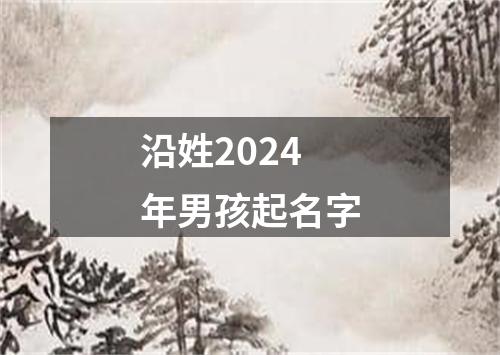 沿姓2024年男孩起名字