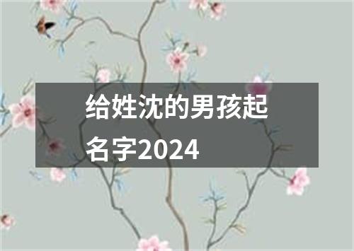 给姓沈的男孩起名字2024