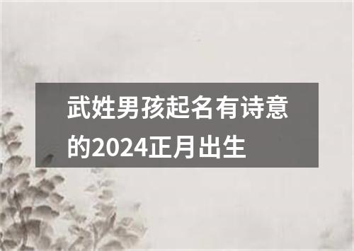 武姓男孩起名有诗意的2024正月出生