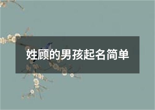 姓顾的男孩起名简单