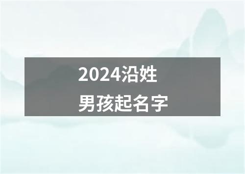 2024沿姓男孩起名字