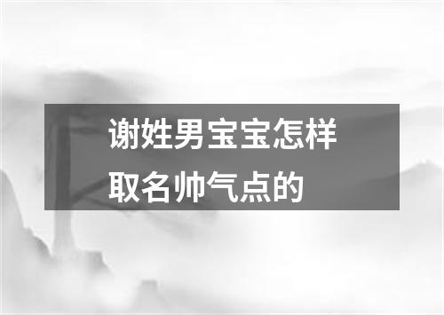 谢姓男宝宝怎样取名帅气点的