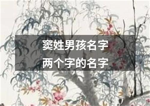 窦姓男孩名字两个字的名字