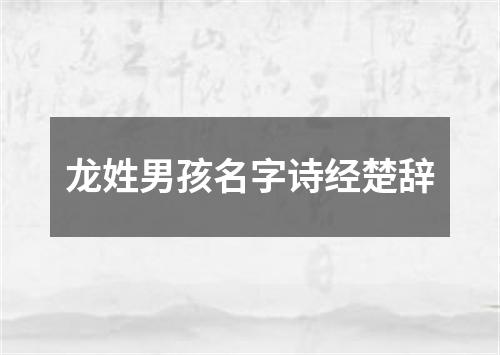 龙姓男孩名字诗经楚辞