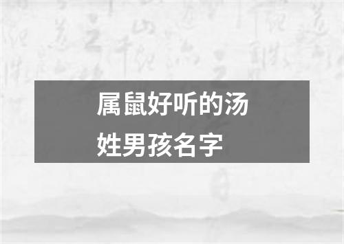 属鼠好听的汤姓男孩名字