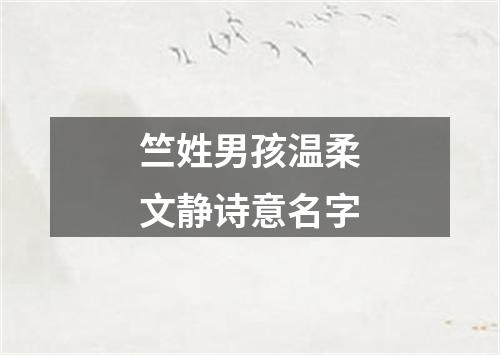 竺姓男孩温柔文静诗意名字