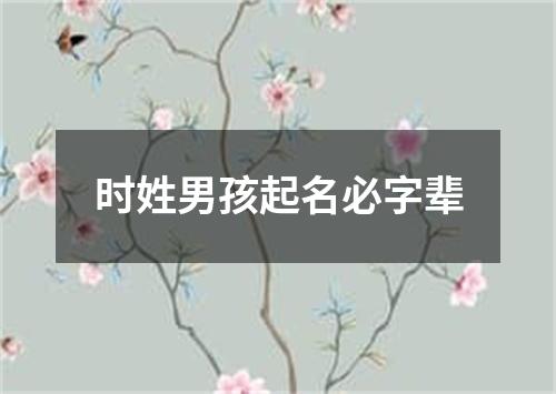 时姓男孩起名必字辈