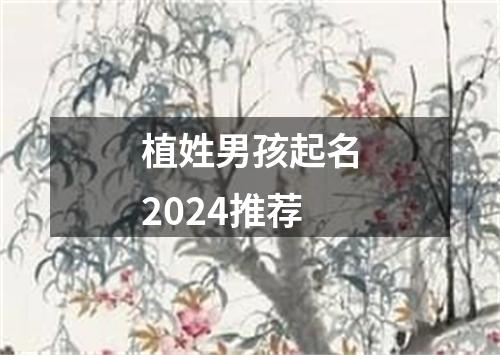 植姓男孩起名2024推荐