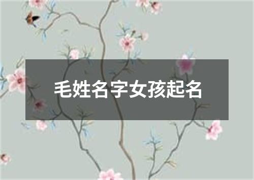 毛姓名字女孩起名