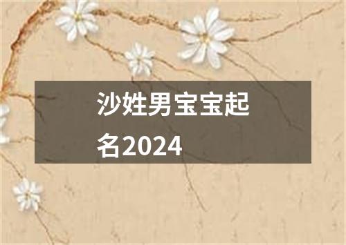 沙姓男宝宝起名2024