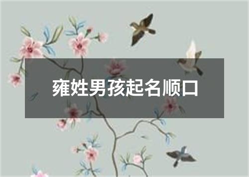 雍姓男孩起名顺口