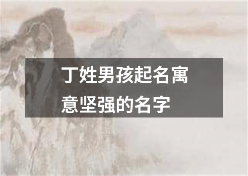 丁姓男孩起名寓意坚强的名字