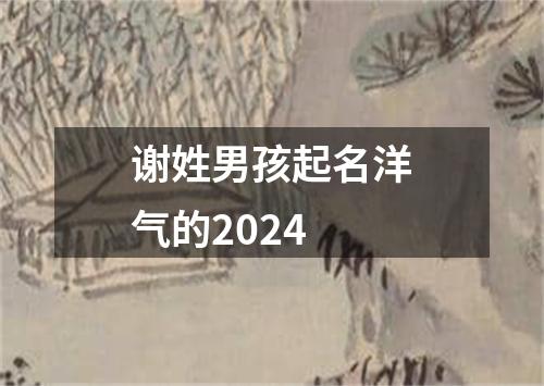 谢姓男孩起名洋气的2024