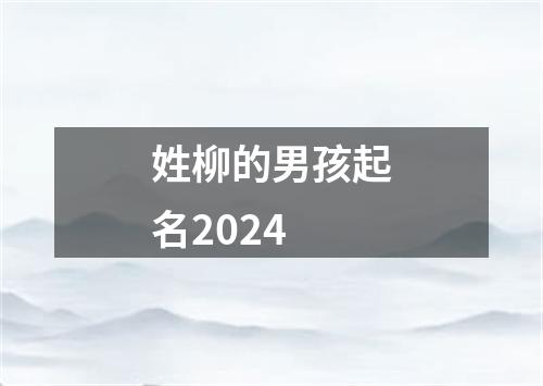 姓柳的男孩起名2024