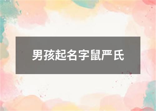 男孩起名字鼠严氏