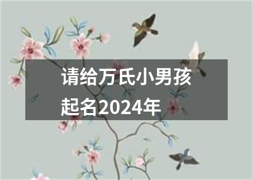 请给万氏小男孩起名2024年