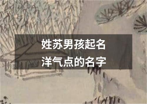 姓苏男孩起名洋气点的名字