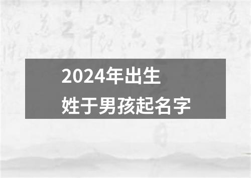 2024年出生姓于男孩起名字