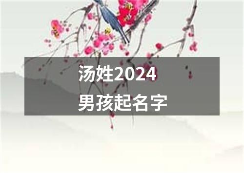 汤姓2024男孩起名字