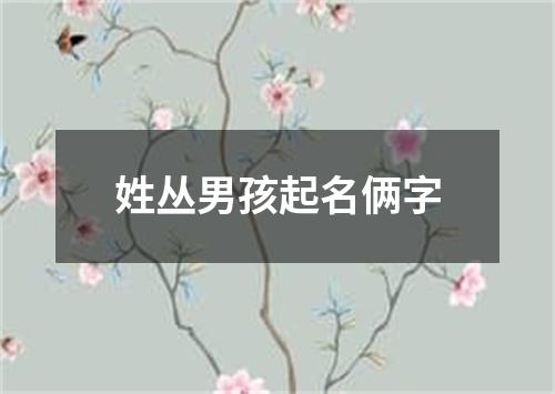 姓丛男孩起名俩字