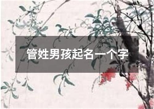 管姓男孩起名一个字