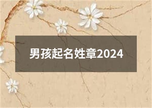 男孩起名姓章2024