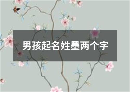 男孩起名姓墨两个字