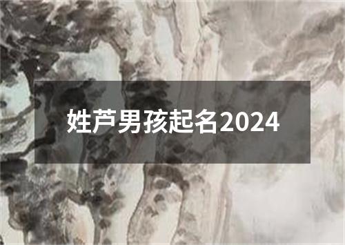 姓芦男孩起名2024