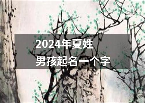 2024年夏姓男孩起名一个字