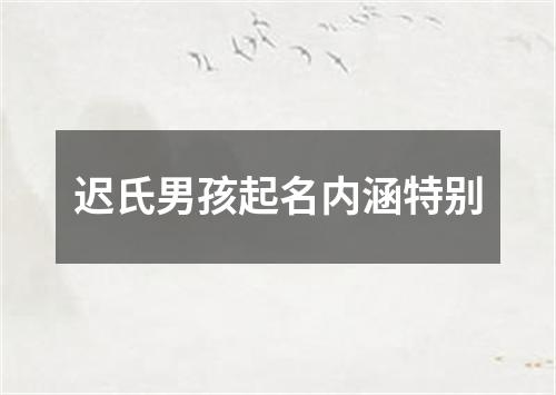 迟氏男孩起名内涵特别