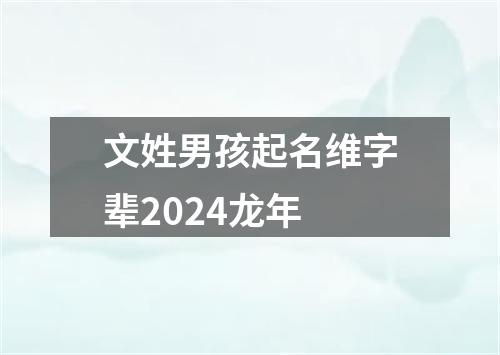 文姓男孩起名维字辈2024龙年