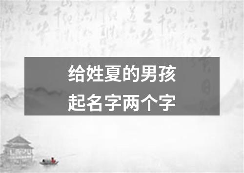 给姓夏的男孩起名字两个字