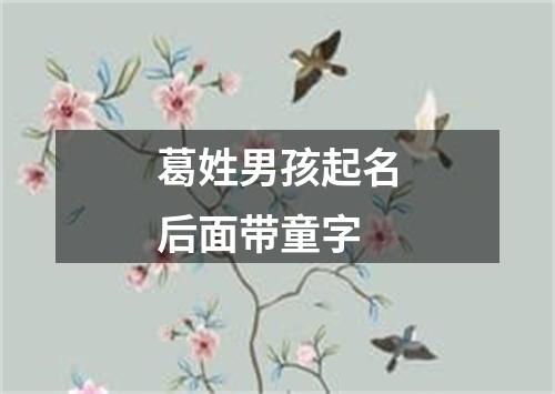 葛姓男孩起名后面带童字