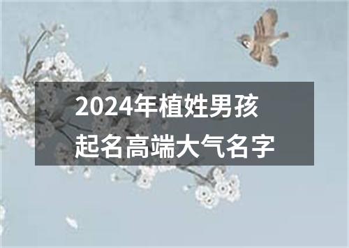 2024年植姓男孩起名高端大气名字