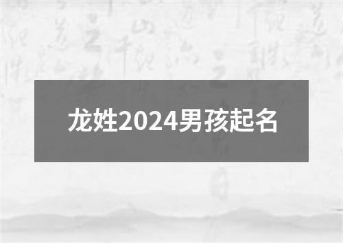 龙姓2024男孩起名