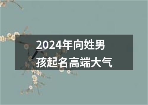 2024年向姓男孩起名高端大气