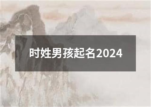 时姓男孩起名2024