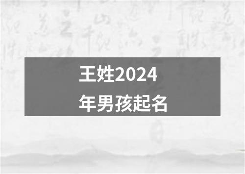 王姓2024年男孩起名