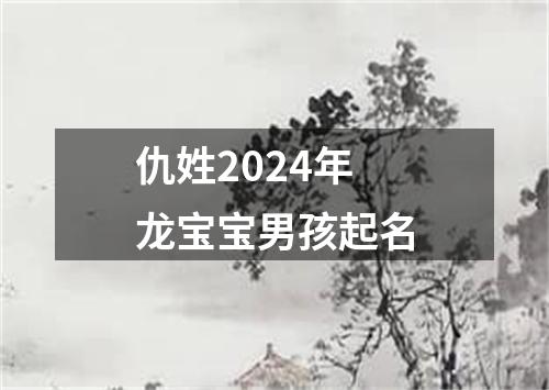 仇姓2024年龙宝宝男孩起名