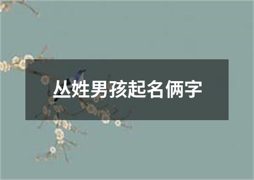 丛姓男孩起名俩字