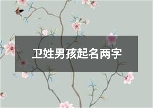 卫姓男孩起名两字