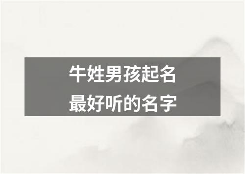 牛姓男孩起名最好听的名字