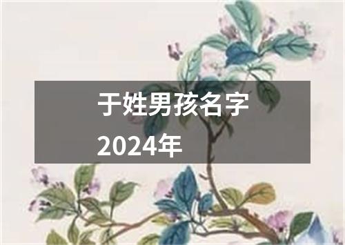 于姓男孩名字2024年